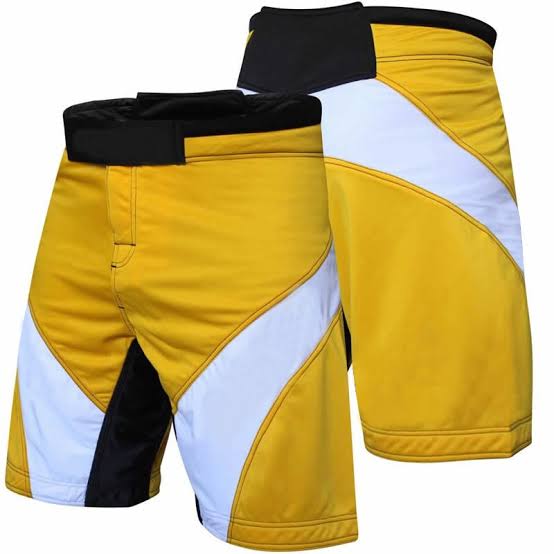 Pro Fight MMA Shorts