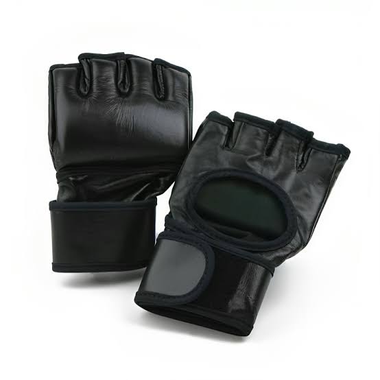 Training Taekwondo Gloves